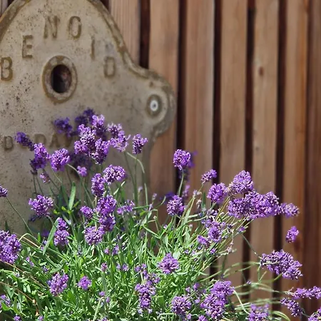 Nostalgie Chraemerhus Bed & Breakfast *