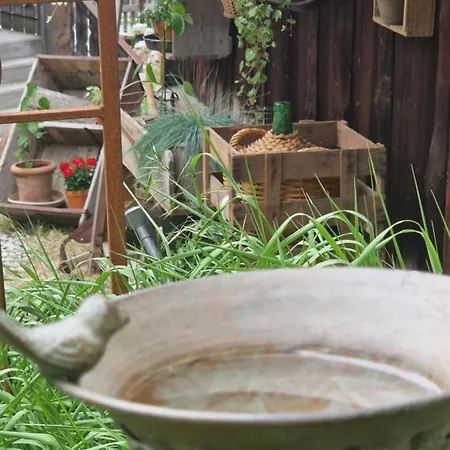 Nostalgie Chraemerhus Bed & Breakfast Curaglia