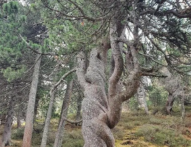 Bed & Breakfast Nostalgie Chraemerhus