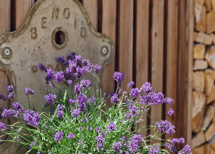 Nostalgie Chraemerhus Bed & Breakfast *