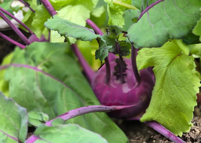 Bed & Breakfast Nostalgie Chraemerhus *